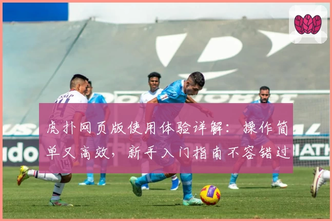 虎扑网页版使用体验详解：操作简单又高效，新手入门指南不容错过