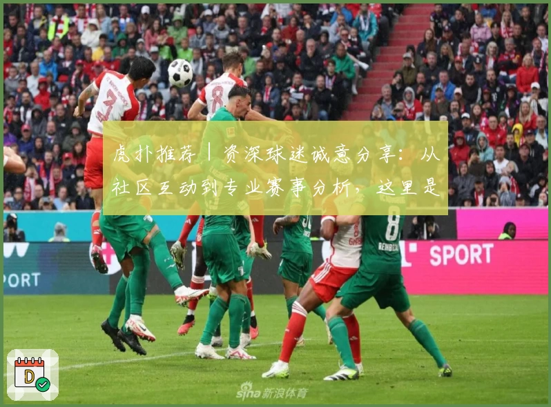 虎扑推荐｜资深球迷诚意分享：从社区互动到专业赛事分析，这里是你的首选平台