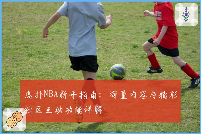 虎扑NBA新手指南：海量内容与精彩社区互动功能详解